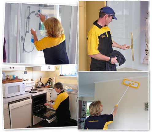 tauranga cleaning services